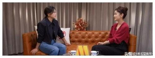 吃瓜大会娱乐圈检察组