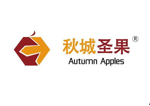 丽江快手网红,快手上的丽江魅力代言人